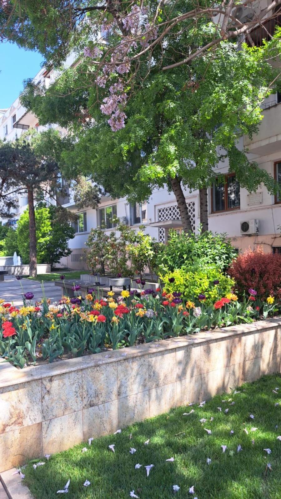 Apartament Kitty Centrul Istoric Крайова Екстериор снимка